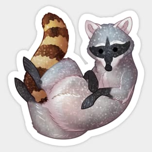 Cozy Raccoon Sticker